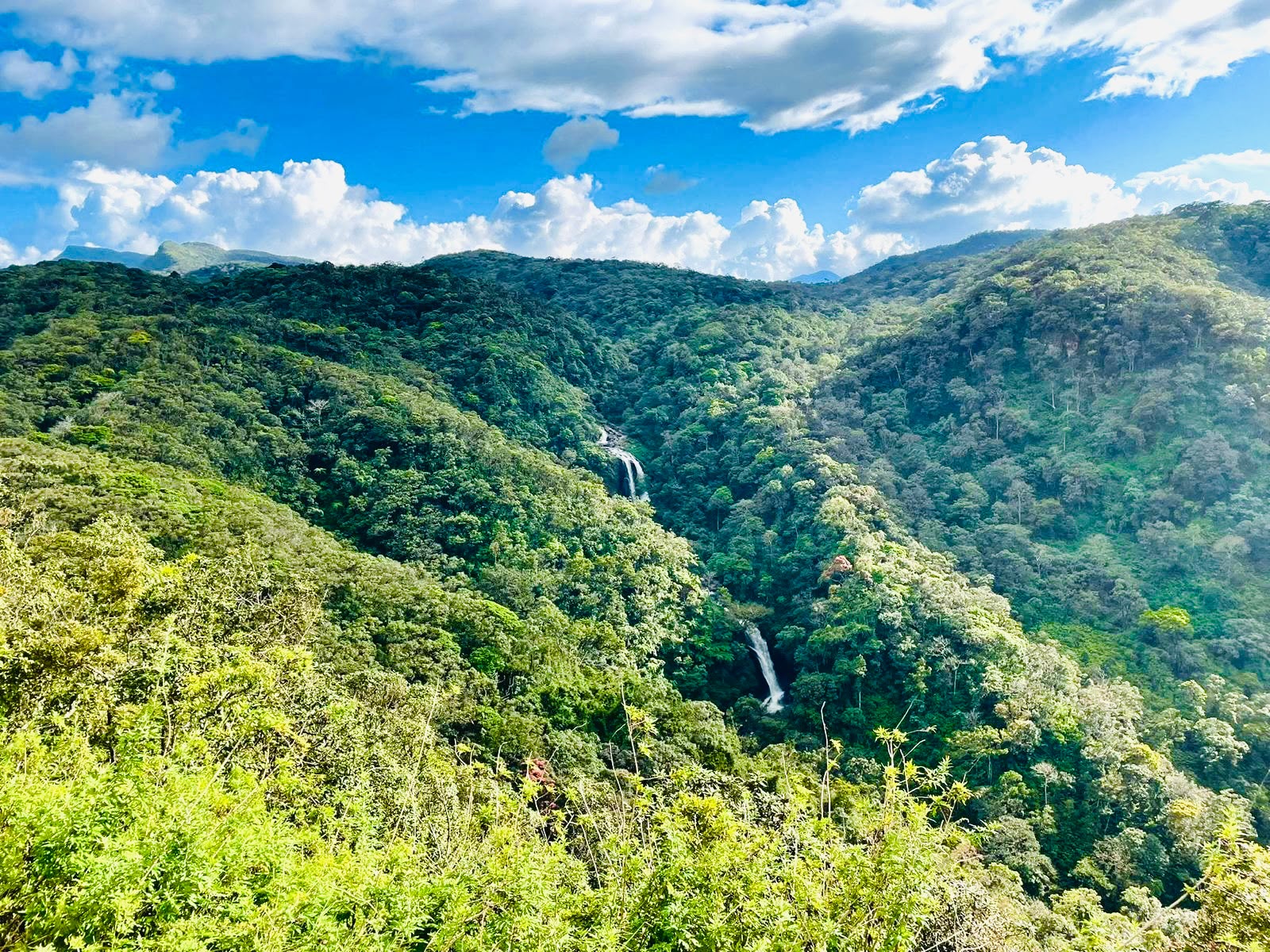 hill country vibes