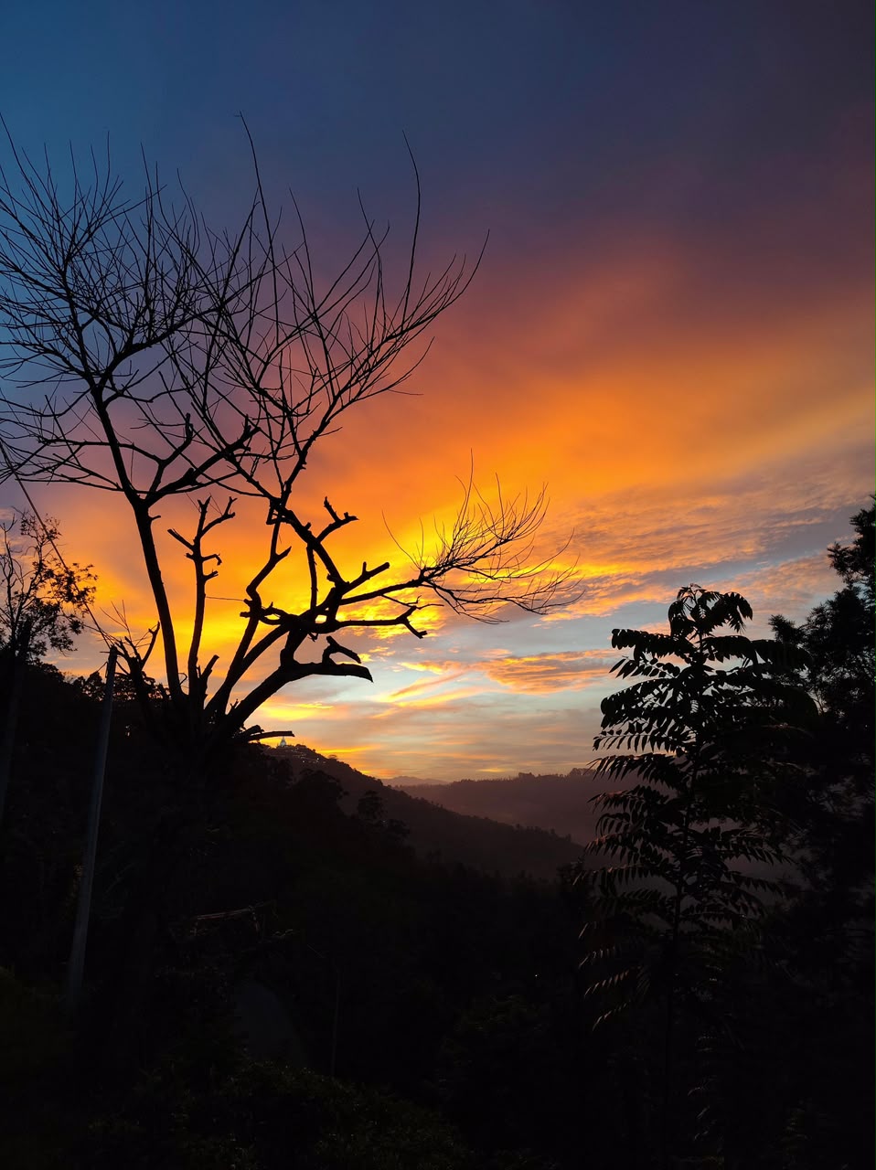 beautiful sunset